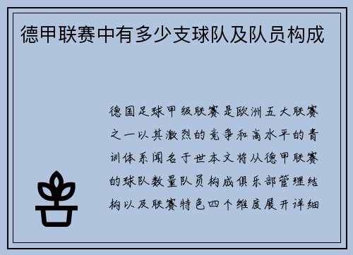 德甲联赛中有多少支球队及队员构成
